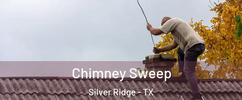 Chimney Sweep Silver Ridge - TX
