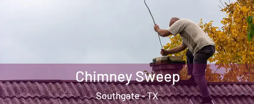 Chimney Sweep Southgate - TX