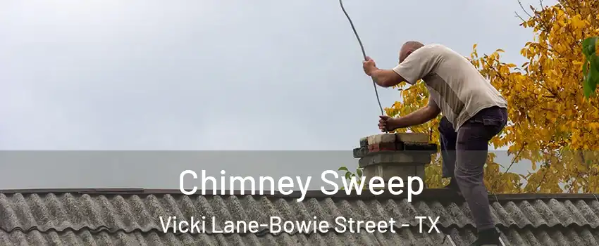 Chimney Sweep Vicki Lane-Bowie Street - TX