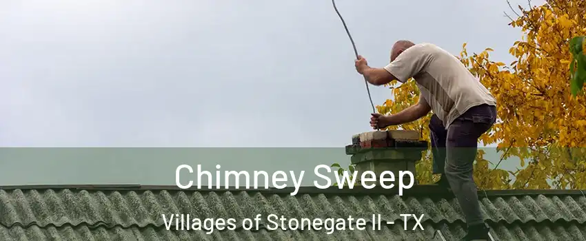 Chimney Sweep Villages of Stonegate II - TX