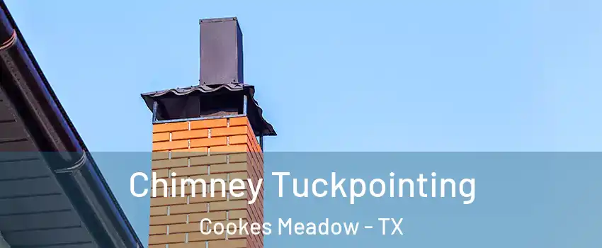 Chimney Tuckpointing Cookes Meadow - TX