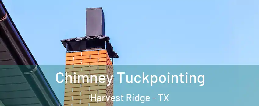 Chimney Tuckpointing Harvest Ridge - TX