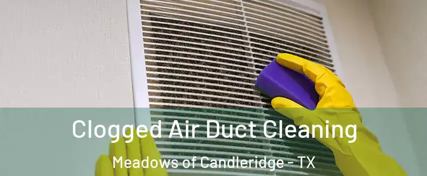 Clogged Air Duct Cleaning Meadows of Candleridge - TX