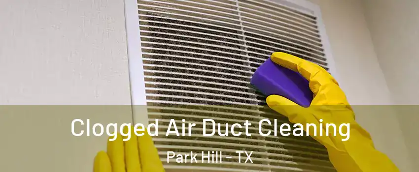 Clogged Air Duct Cleaning Park Hill - TX