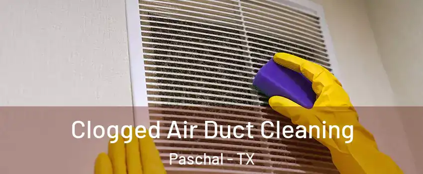 Clogged Air Duct Cleaning Paschal - TX
