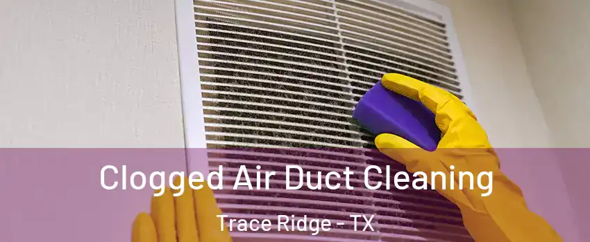 Clogged Air Duct Cleaning Trace Ridge - TX