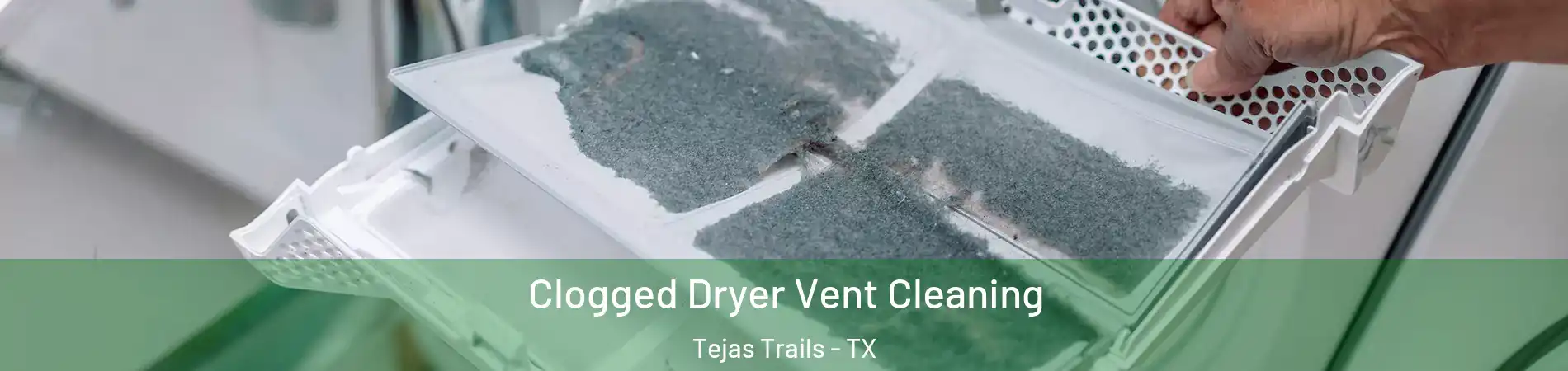 Clogged Dryer Vent Cleaning Tejas Trails - TX