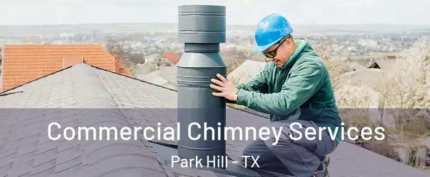 Commercial Chimney Services Park Hill - TX