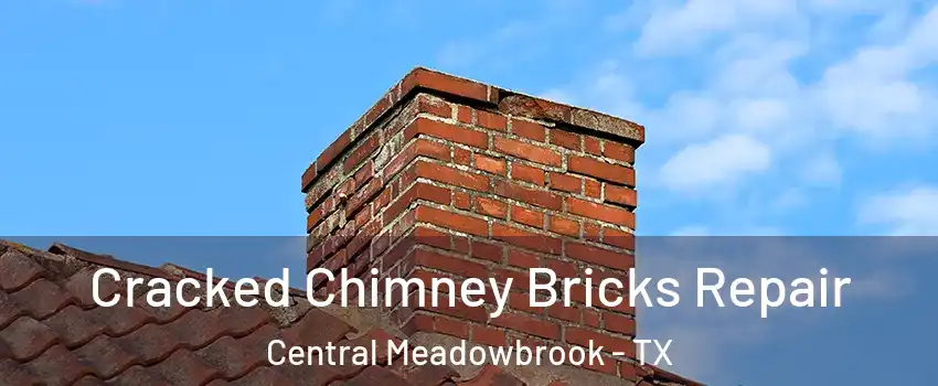 Cracked Chimney Bricks Repair Central Meadowbrook - TX