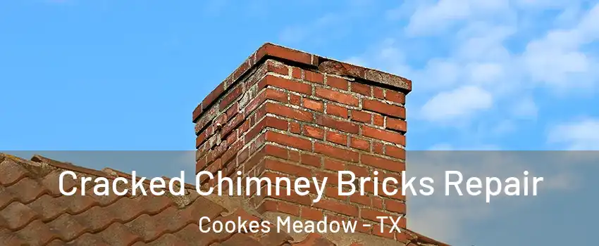 Cracked Chimney Bricks Repair Cookes Meadow - TX