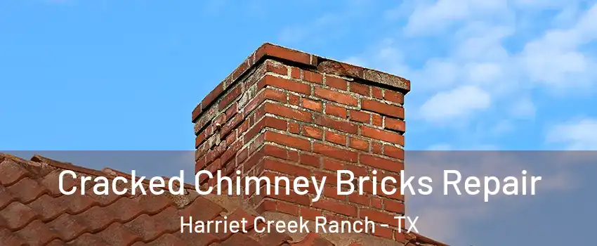 Cracked Chimney Bricks Repair Harriet Creek Ranch - TX