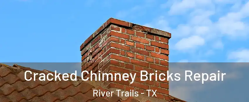 Cracked Chimney Bricks Repair River Trails - TX