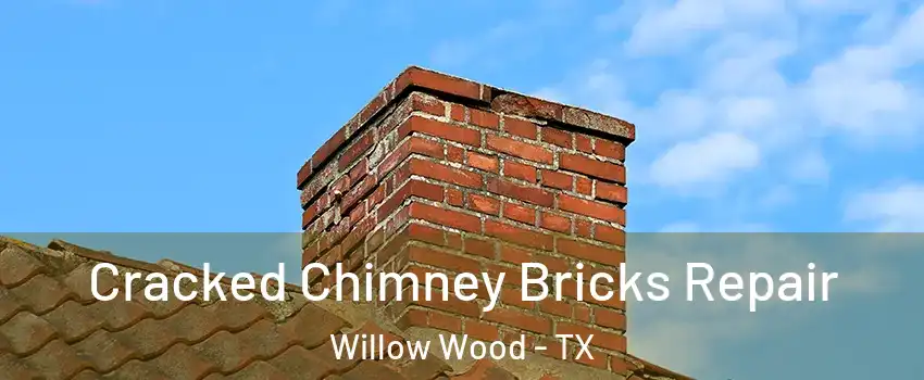 Cracked Chimney Bricks Repair Willow Wood - TX