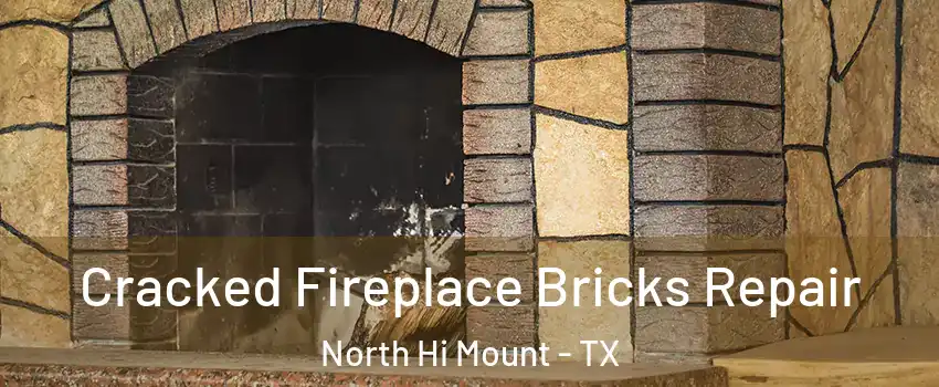 Cracked Fireplace Bricks Repair North Hi Mount - TX