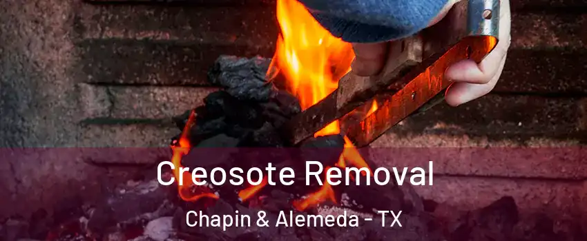 Creosote Removal Chapin & Alemeda - TX
