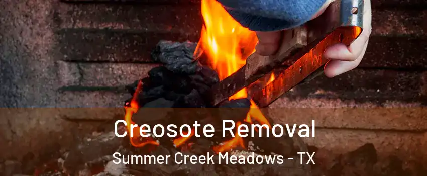 Creosote Removal Summer Creek Meadows - TX