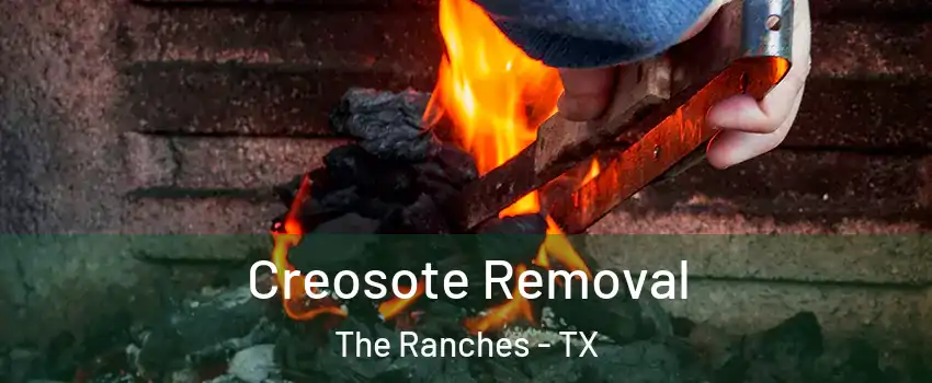 Creosote Removal The Ranches - TX