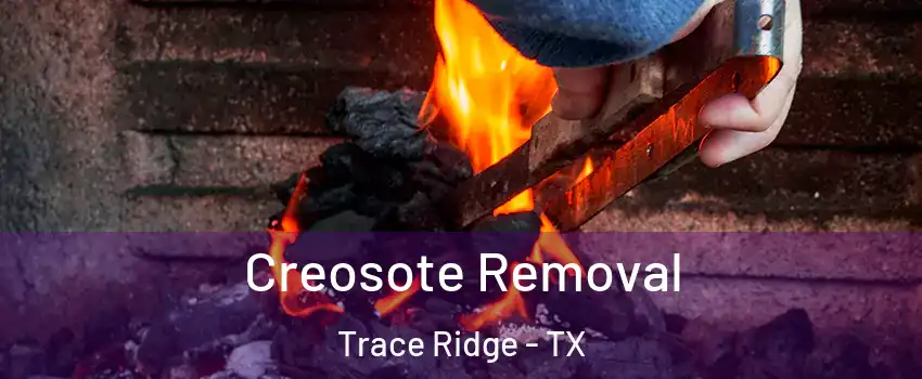Creosote Removal Trace Ridge - TX