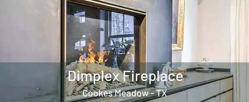 Dimplex Fireplace Cookes Meadow - TX