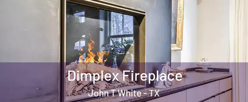 Dimplex Fireplace John T White - TX