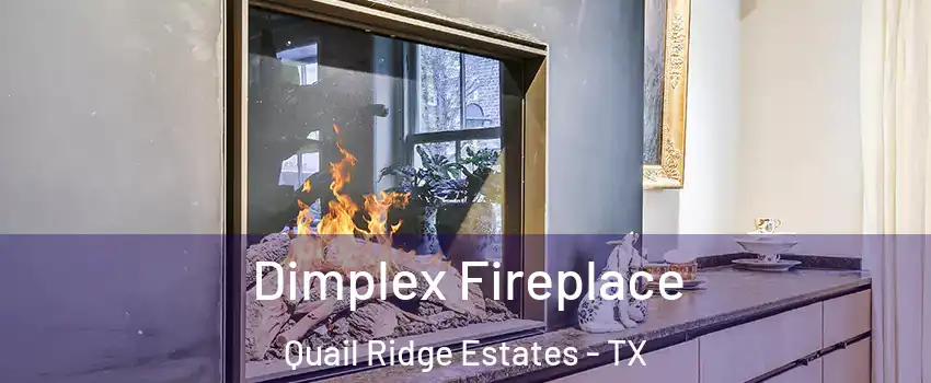 Dimplex Fireplace Quail Ridge Estates - TX