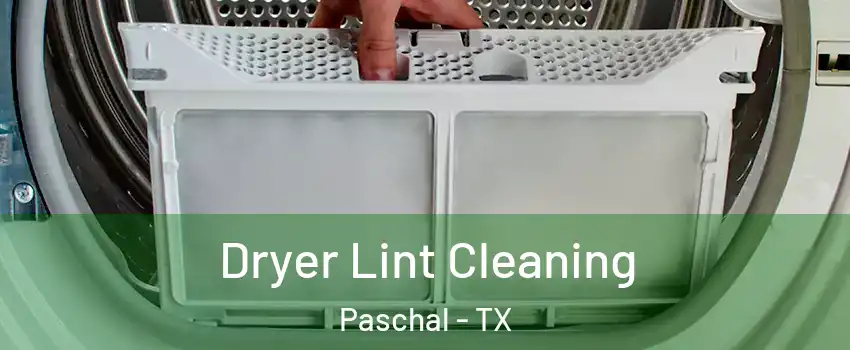 Dryer Lint Cleaning Paschal - TX