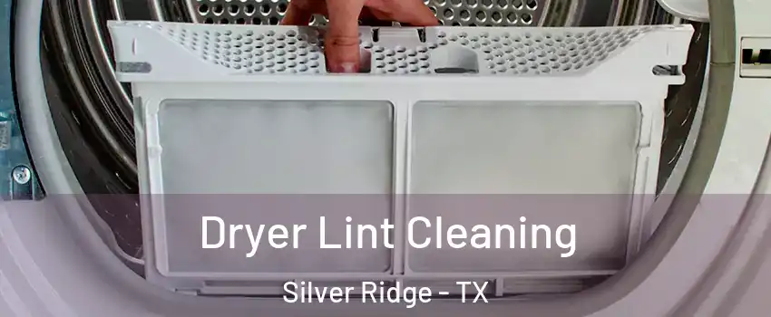 Dryer Lint Cleaning Silver Ridge - TX