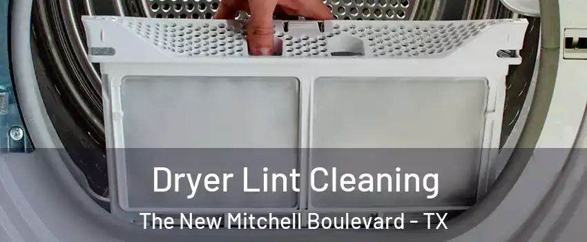 Dryer Lint Cleaning The New Mitchell Boulevard - TX