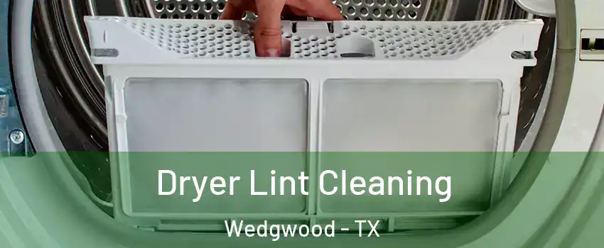 Dryer Lint Cleaning Wedgwood - TX