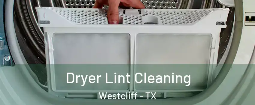 Dryer Lint Cleaning Westcliff - TX