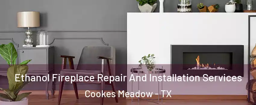 Ethanol Fireplace Repair And Installation Services Cookes Meadow - TX