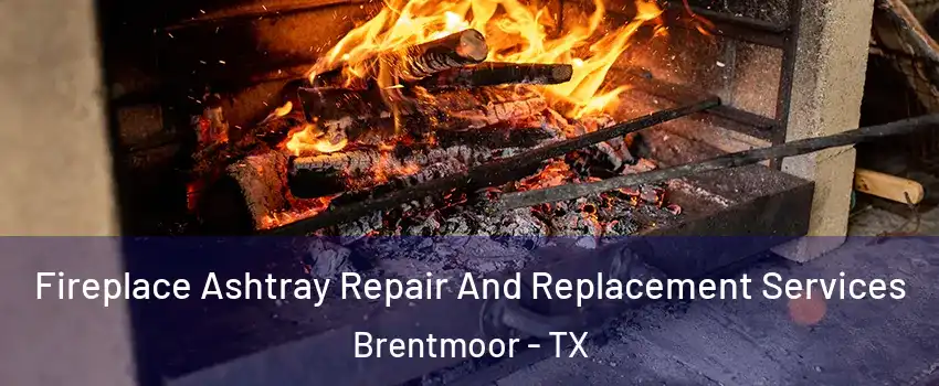 Fireplace Ashtray Repair And Replacement Services Brentmoor - TX