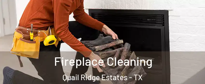 Fireplace Cleaning Quail Ridge Estates - TX