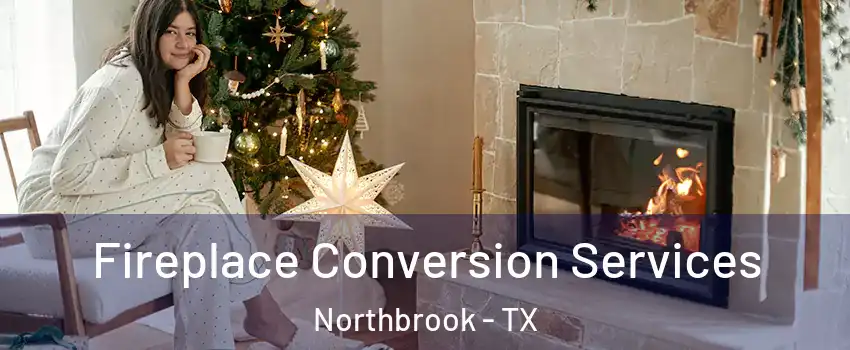 Fireplace Conversion Services Northbrook - TX