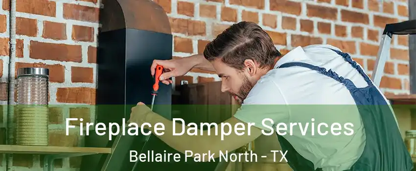 Fireplace Damper Services Bellaire Park North - TX