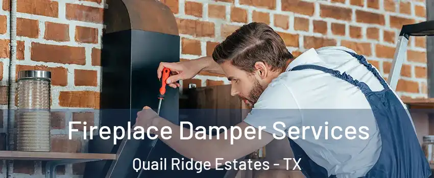 Fireplace Damper Services Quail Ridge Estates - TX