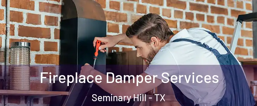 Fireplace Damper Services Seminary Hill - TX