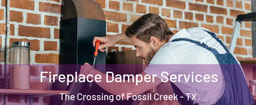 Fireplace Damper Services The Crossing of Fossil Creek - TX