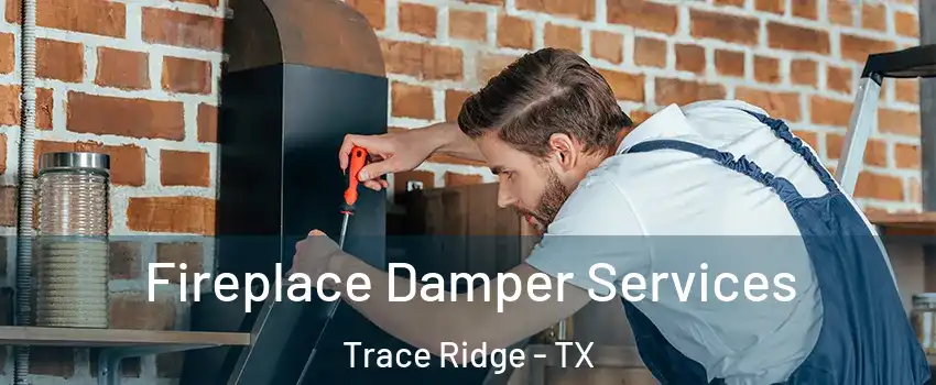 Fireplace Damper Services Trace Ridge - TX