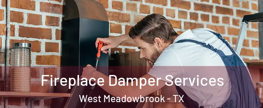 Fireplace Damper Services West Meadowbrook - TX
