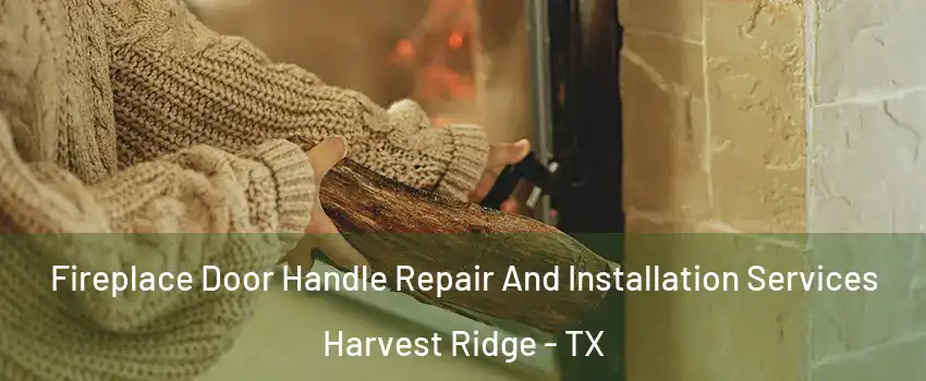 Fireplace Door Handle Repair And Installation Services Harvest Ridge - TX