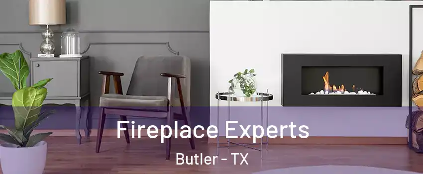 Fireplace Experts Butler - TX