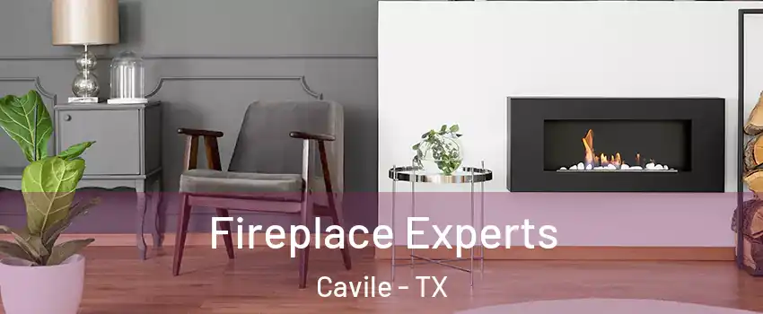 Fireplace Experts Cavile - TX