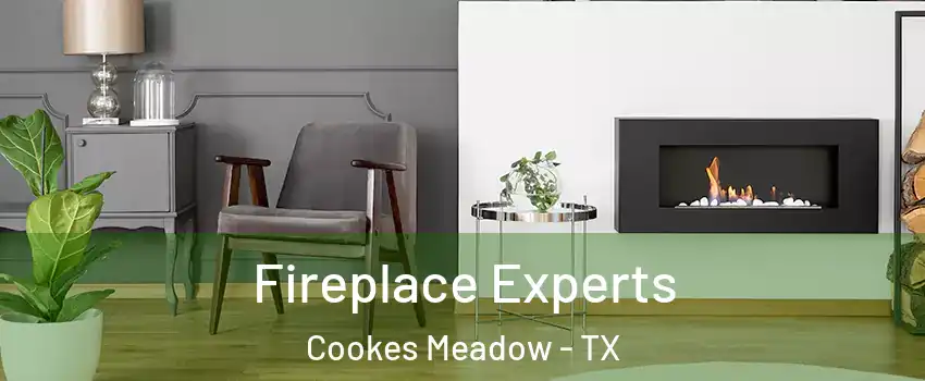 Fireplace Experts Cookes Meadow - TX