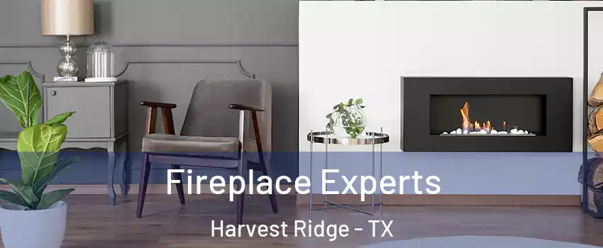 Fireplace Experts Harvest Ridge - TX
