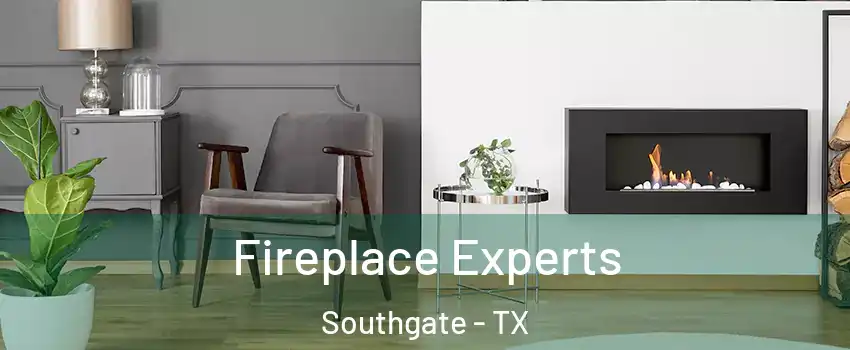 Fireplace Experts Southgate - TX