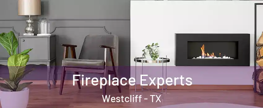 Fireplace Experts Westcliff - TX