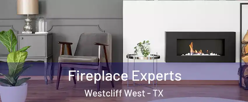 Fireplace Experts Westcliff West - TX