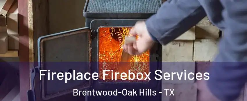Fireplace Firebox Services Brentwood-Oak Hills - TX