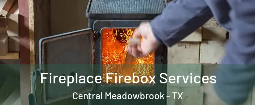 Fireplace Firebox Services Central Meadowbrook - TX